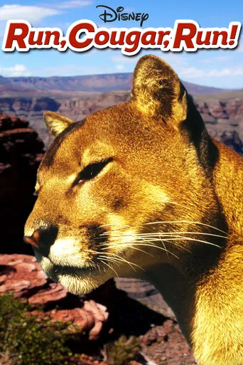 Cours, couguar, cours