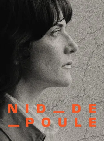 Nid-de-poule - Nos routes, un danger public?