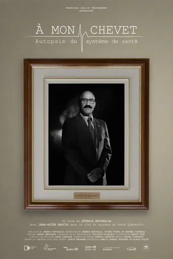 À mon chevet : autopsie du système de santé
