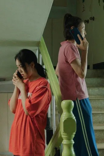 Ideal and Weird Family