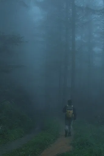 Men Wandering in the Mountain
