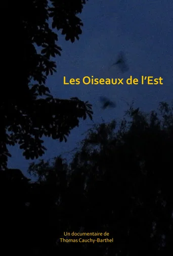 Birds from the East