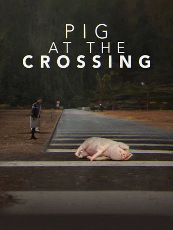 Pig at the Crossing