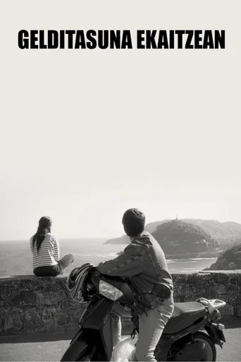 Stillness in the Storm