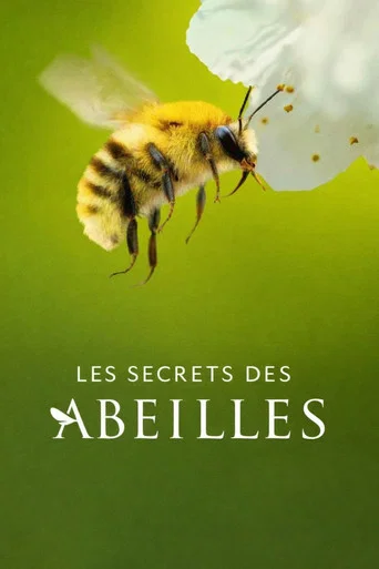 Les Secrets des abeilles