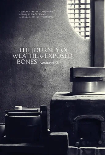 The Journey of Weather-Exposed Bones